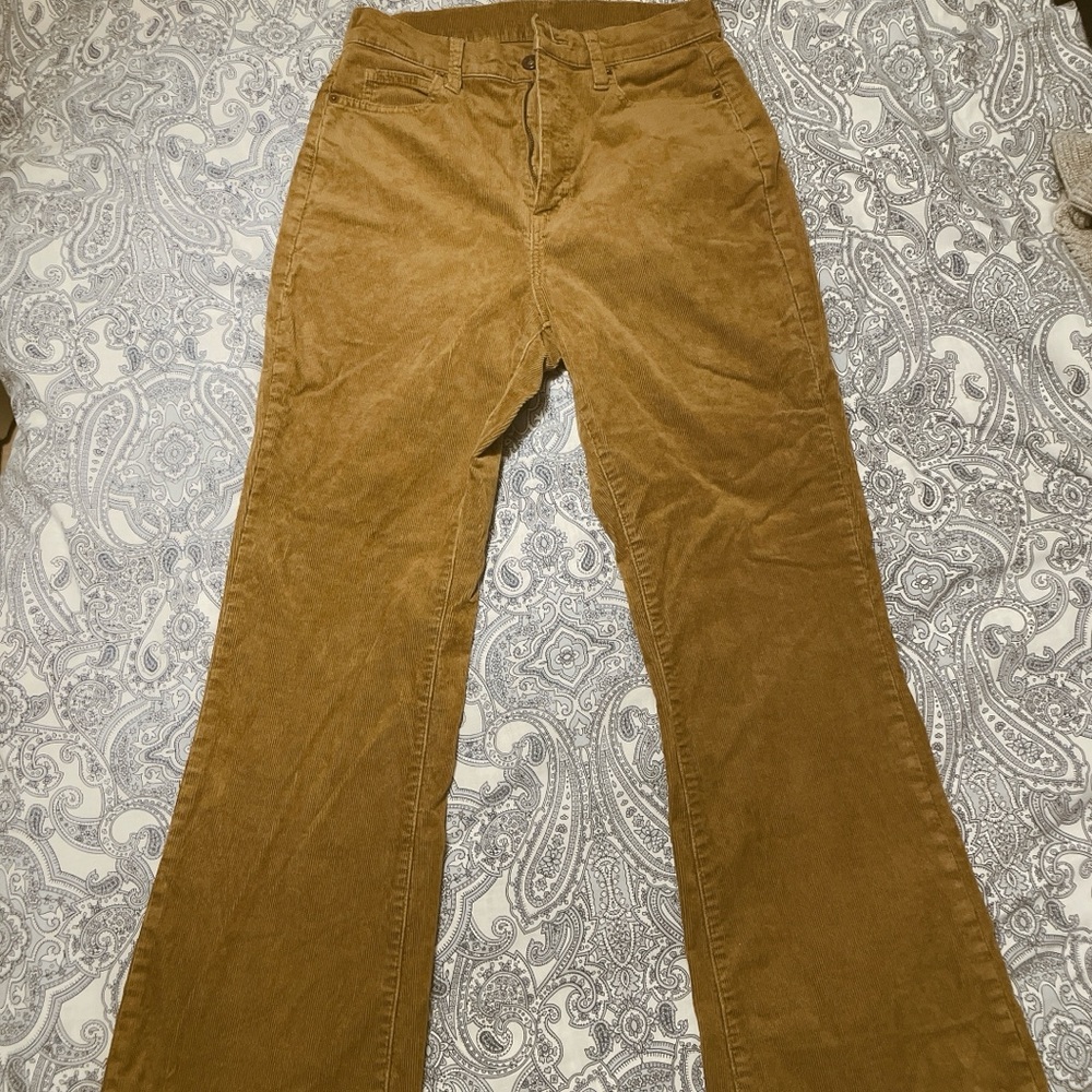 Uniqlo corduroy pants